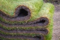 Close up of fresh grass carpet roll Royalty Free Stock Photo