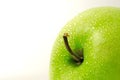 Close up fresh green Apple granny smith isolated on white background with water droplet Ã¢â¬â macro shoot Royalty Free Stock Photo