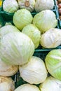 Close up of fresh green cabbage drops at a grocery store