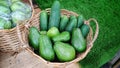 Close Up fresh green chayote and cucumbers in rattan baskets for sale in a traditional market Royalty Free Stock Photo