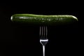 Close up of fresh green cucumber on metal fork isolated on black background. Domestic cultivation. Fresh vegetables. Vegetarian Royalty Free Stock Photo