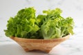 Close up fresh Green oak lettuce in wooden basket on white table background. Healthy food concept Royalty Free Stock Photo