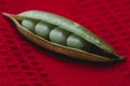 Fresh green peas isolated on red cloth Royalty Free Stock Photo