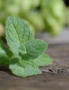 Close up fresh green peppermint leaves. Mint herbs on vintage wooden table. Royalty Free Stock Photo