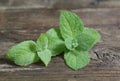 Close up fresh green peppermint leaves. Mint herbs on vintage wooden table. Royalty Free Stock Photo