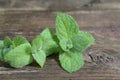 Close up fresh green peppermint leaves. Mint herbs on vintage wooden table. Royalty Free Stock Photo