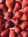 Close up of fresh halves strawberry on whole classic cheesecake.