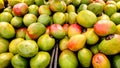 Close up of fresh harvested Mangos Royalty Free Stock Photo