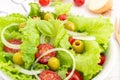 Close up of a Fresh and healthy salad with lettuce, onion, cherry tomato and olives in a bowl Royalty Free Stock Photo