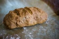 Fresh homemade bread on baking paper Royalty Free Stock Photo