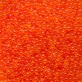 Close-up of fresh Japanese salmon roe caviar