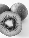 Fresh of kivi fruit isolated on white background, black and white.
