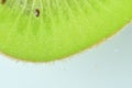 Close-up of fresh kiwi fruit slice on light background. Slice of ripe green kiwi fruit in sparkling water on light Royalty Free Stock Photo