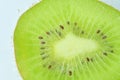 Close-up of fresh kiwi fruit slice on light background. Slice of ripe green kiwi fruit in sparkling water on light Royalty Free Stock Photo