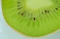 Close-up of fresh kiwi fruit slice on light background. Slice of ripe green kiwi fruit in sparkling water on light Royalty Free Stock Photo