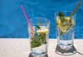 Close up of fresh lemon infused mineral water with gas or soda drink