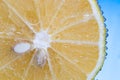 Close-up of Fresh Lemon slice in Bubbly Water Royalty Free Stock Photo