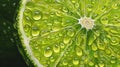 Close-up of a fresh lime slice with water droplets Royalty Free Stock Photo