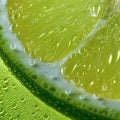 Close up of fresh lime slice with water droplets on it.