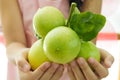 Close up of fresh limes