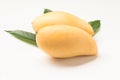 Close up of fresh Mangos with leaves on white background Royalty Free Stock Photo