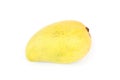 Close up of fresh Mangos  on white background Royalty Free Stock Photo