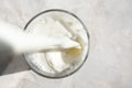 Close-up of fresh milk stream pouring into a glass with splash and bubbles Royalty Free Stock Photo