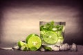 Close up the fresh mojito cocktail with fresh lime and mint leaf Royalty Free Stock Photo