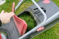 Close up of fresh mowed grass in a lawn mower Royalty Free Stock Photo