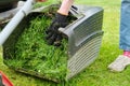 Close up of fresh mowed grass in a lawn mower Royalty Free Stock Photo