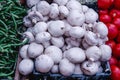 Close-up of fresh mushrooms selling in local farmerÃ¢â¬â¢s market. Vegan food