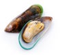 Fresh mussel isolated on white background Royalty Free Stock Photo