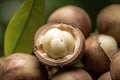 Close-up of fresh natural macadamia nut
