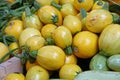 Close up fresh yellow zucchini on retail display Royalty Free Stock Photo