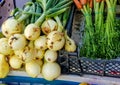 Close-up of fresh onions with a green feather and bunches of carrots on the counter of a vegetable store Royalty Free Stock Photo