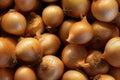 Close up of fresh onions , top view, seamless pattern. Generative Ai