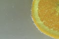 Close-up of fresh orange slice on white background. Slice of orange in sparkling water on white background, close-up Royalty Free Stock Photo