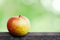Close up of an organic apple fruit with outdour Background Royalty Free Stock Photo