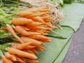 Close-up of fresh organic carrots for sale in market Royalty Free Stock Photo