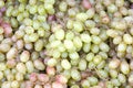 Close up on fresh organic green and pink grapes on the stems