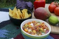 Close Up of Fresh Organic Mango Salsa with Organic Blue and Yellow Corn Chips Royalty Free Stock Photo