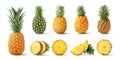 Close-up of a fresh pineapple cut in half alongside a whole pineapple on a white background. Royalty Free Stock Photo
