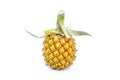 Closed up of fresh pineapple fruit isolated on white background. Royalty Free Stock Photo