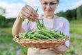 Close up of fresh plucked green string beans in basket in woman hands