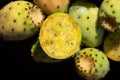 Close-up of fresh prickly pears lying against dark background. The fruits fall sideways into the picture from above