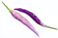 Close up of Fresh purple chilli, Purple \'Buena Mulata\' hot chili pepper on white background. Royalty Free Stock Photo