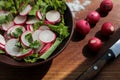 Fresh radish, lettuce and parsley salad in a brown ceramic bowl on a wooden cutboard Royalty Free Stock Photo