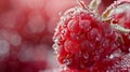 Close-up of a fresh raspberry with dewdrops Royalty Free Stock Photo