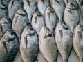 Close-up of fresh raw fish in ice on counter in grocery store Royalty Free Stock Photo