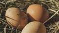 Close up of fresh raw hen eggs with shells Royalty Free Stock Photo